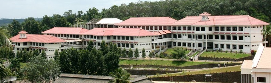 Viswajyothi College of Engineering and Technology